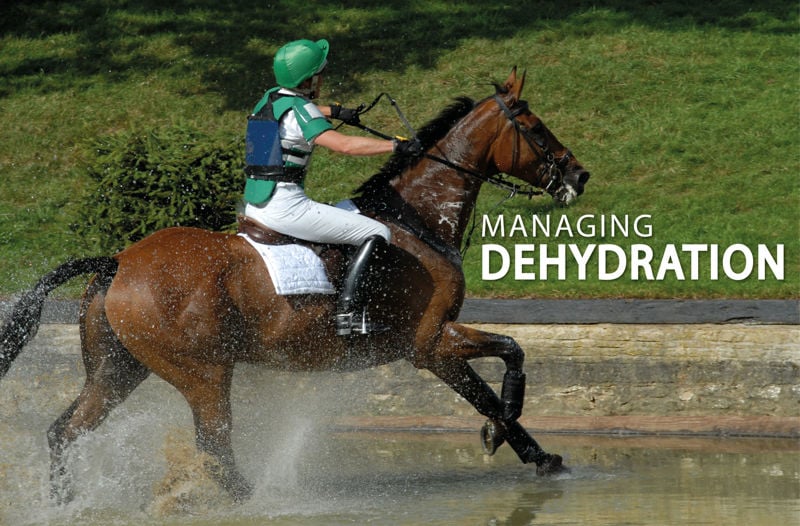 Managing Dehydration - Equine Science Matters™